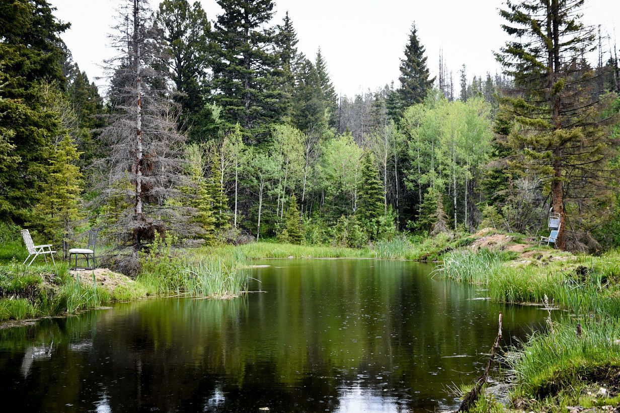 Joe Robertson's ponds